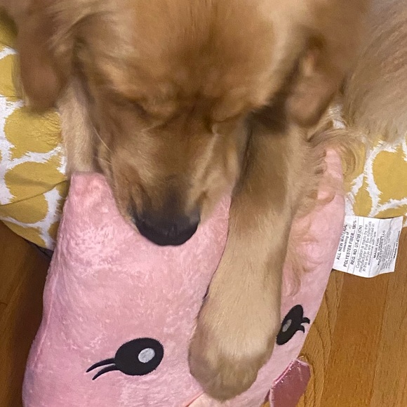 Meet your Posher, Shuvana - Picture 1 of 1